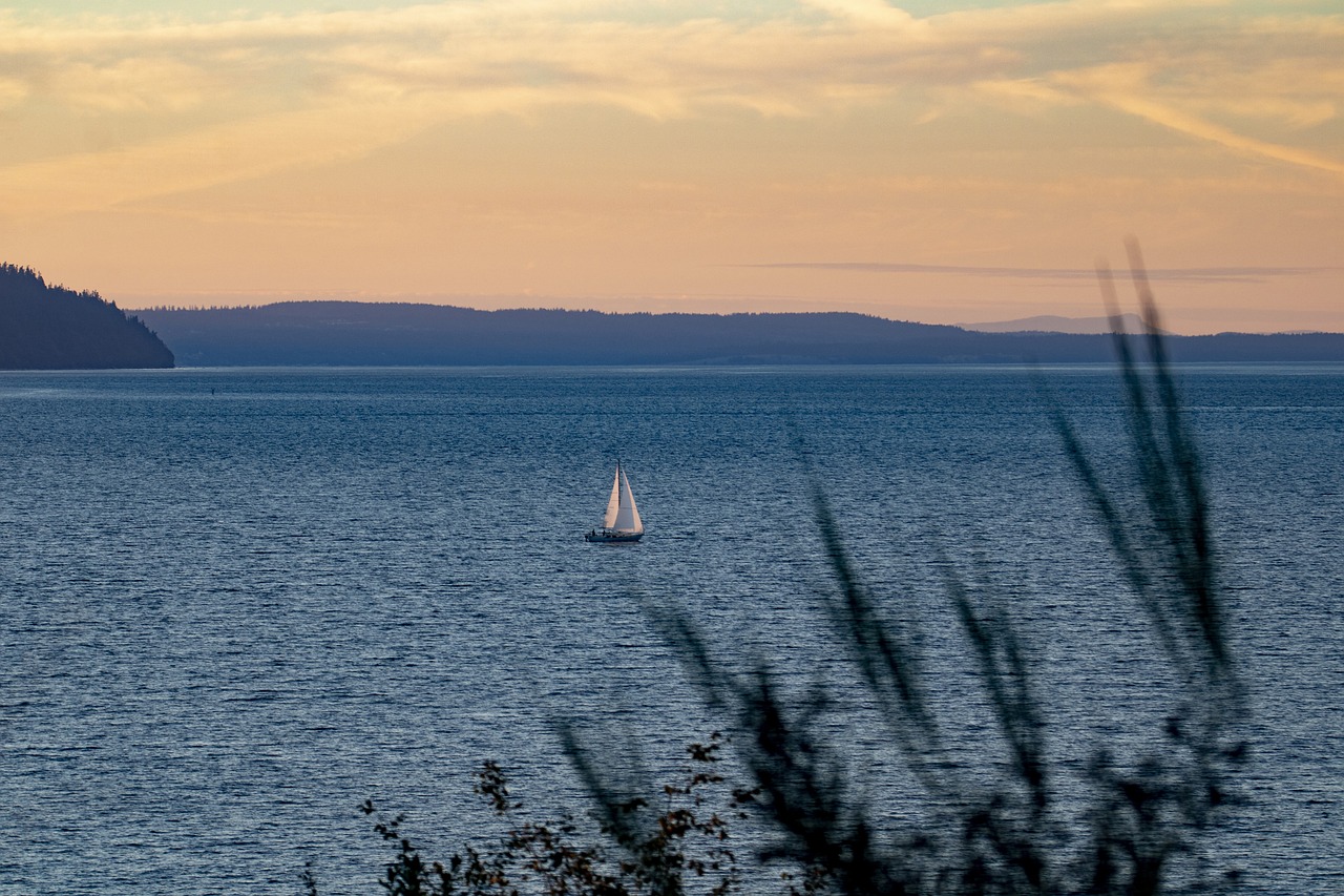 Whale Watching and Island Adventures in San Juan Islands